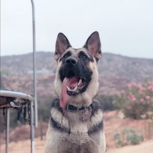 Meet your Posher, Brian